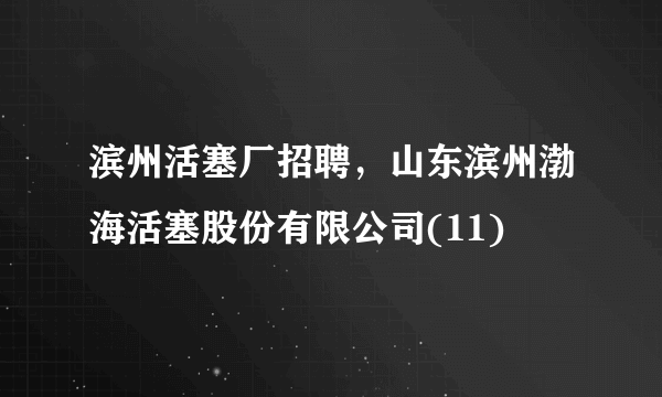 滨州活塞厂招聘，山东滨州渤海活塞股份有限公司(11)