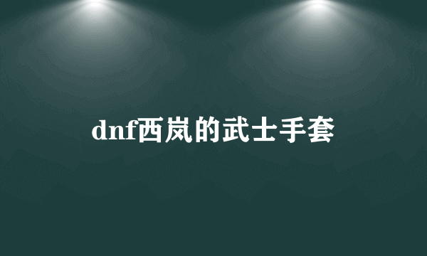 dnf西岚的武士手套