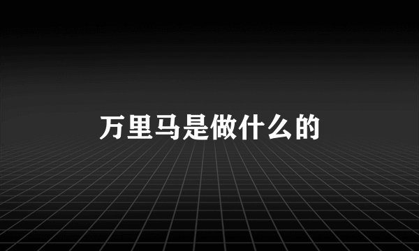 万里马是做什么的