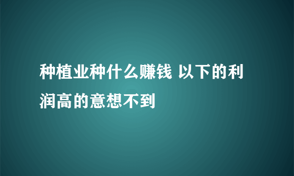 种植业种什么赚钱 以下的利润高的意想不到