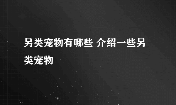 另类宠物有哪些 介绍一些另类宠物