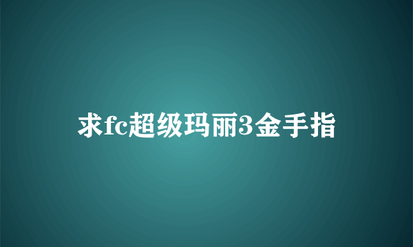 求fc超级玛丽3金手指