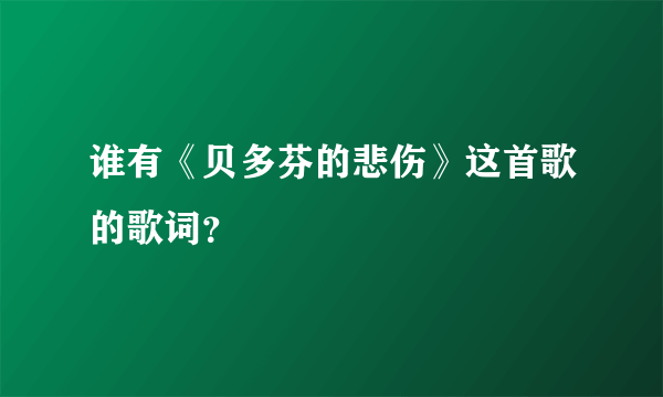 谁有《贝多芬的悲伤》这首歌的歌词？