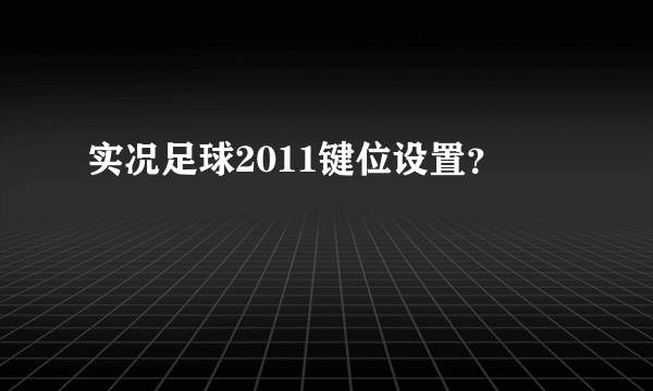 实况足球2011键位设置？