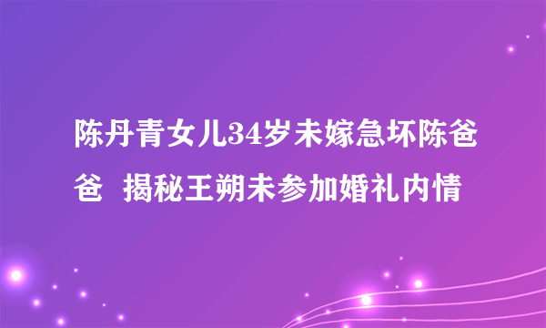 陈丹青女儿34岁未嫁急坏陈爸爸  揭秘王朔未参加婚礼内情