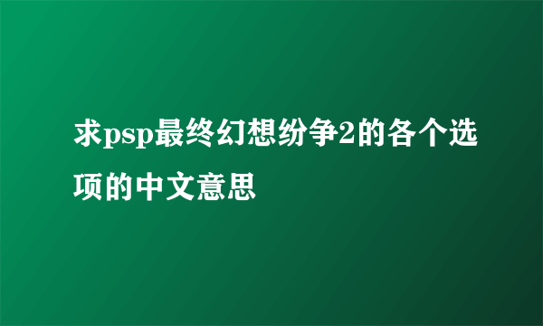 求psp最终幻想纷争2的各个选项的中文意思