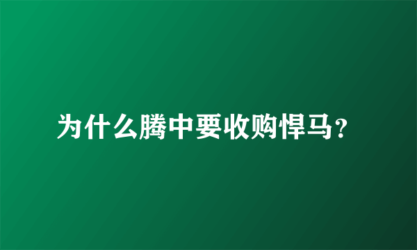 为什么腾中要收购悍马？