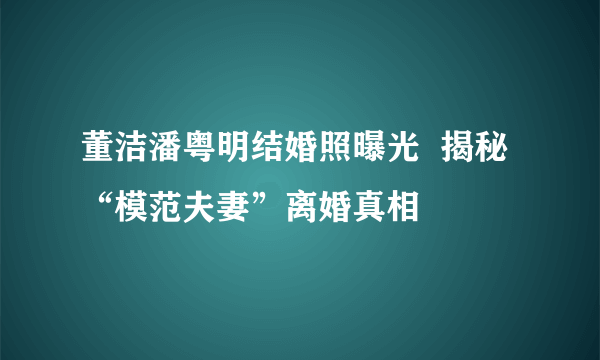 董洁潘粤明结婚照曝光  揭秘“模范夫妻”离婚真相