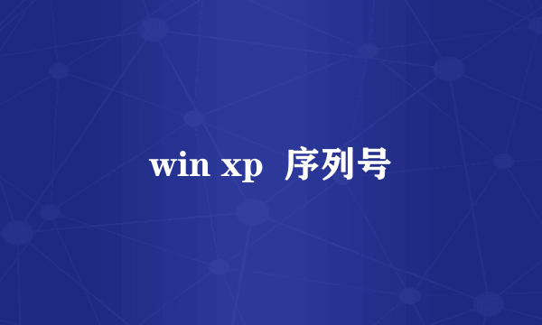 win xp  序列号