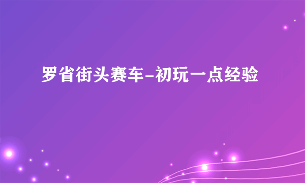 罗省街头赛车-初玩一点经验