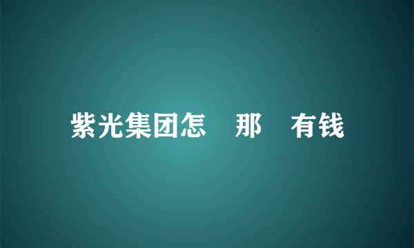 紫光集团怎麼那麼有钱