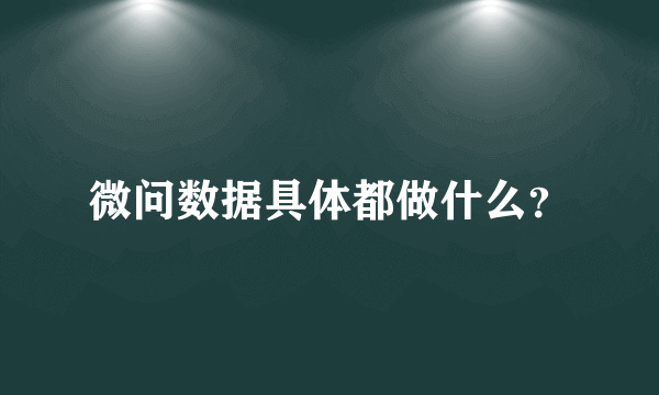 微问数据具体都做什么？