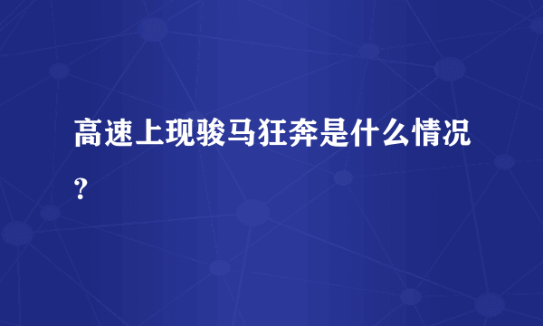 高速上现骏马狂奔是什么情况？