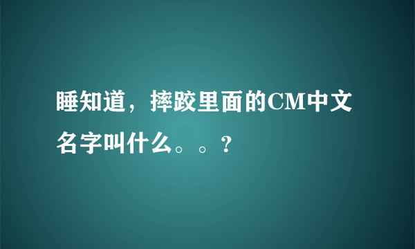 睡知道，摔跤里面的CM中文名字叫什么。。？