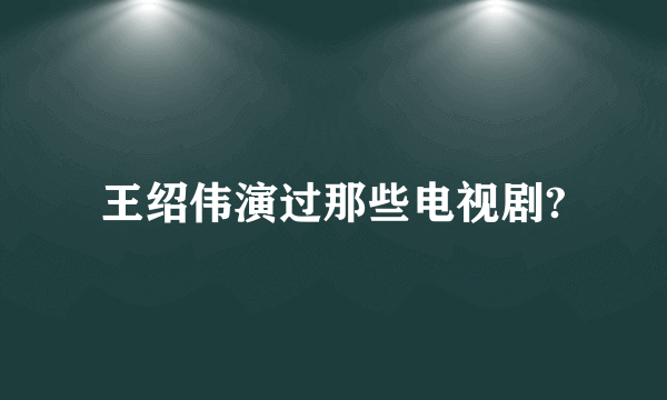 王绍伟演过那些电视剧?