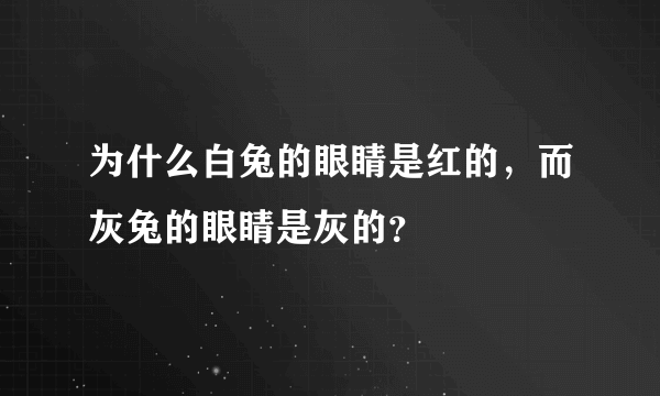 为什么白兔的眼睛是红的，而灰兔的眼睛是灰的？