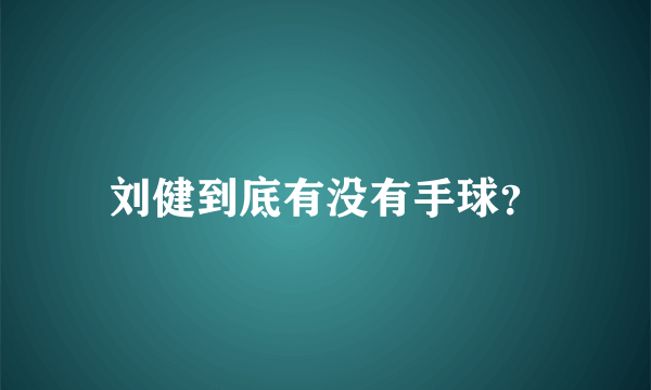 刘健到底有没有手球？