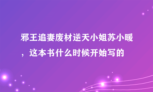 邪王追妻废材逆天小姐苏小暖，这本书什么时候开始写的