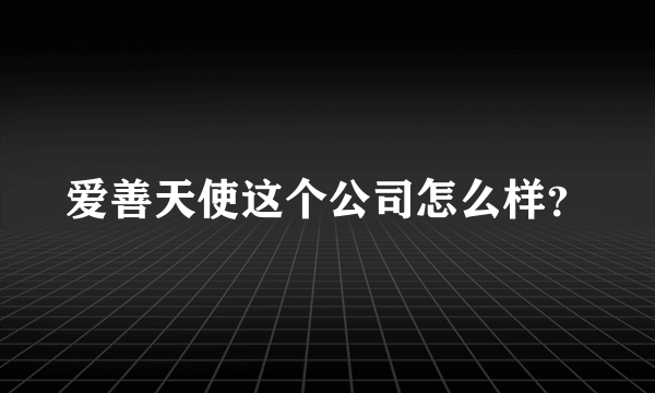 爱善天使这个公司怎么样？