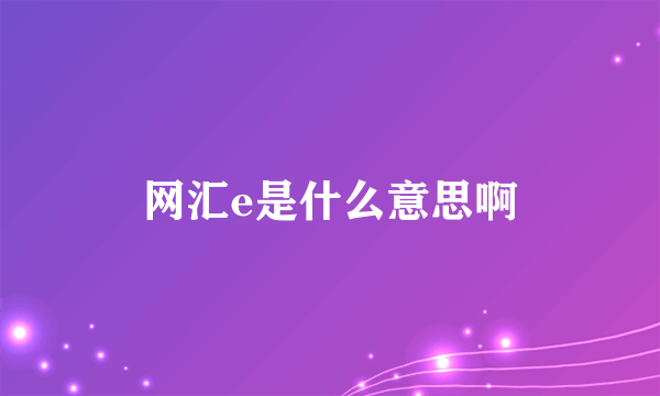 网汇e是什么意思啊