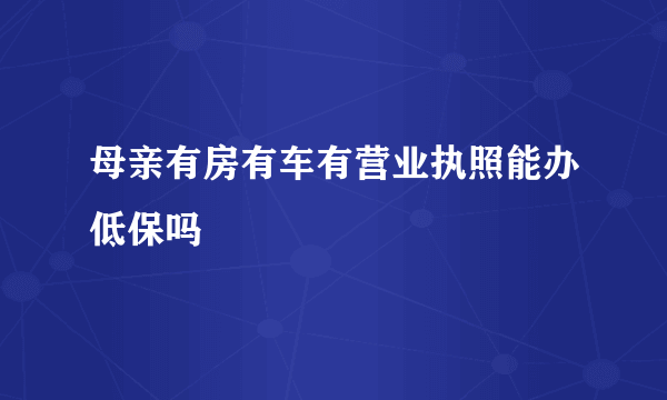 母亲有房有车有营业执照能办低保吗