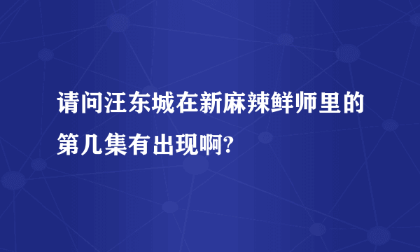 请问汪东城在新麻辣鲜师里的第几集有出现啊?