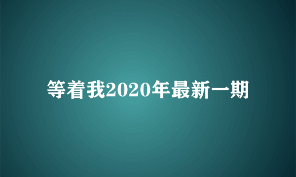 等着我2020年最新一期