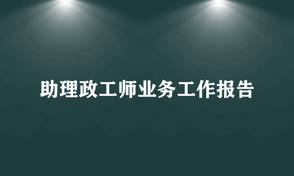 助理政工师业务工作报告