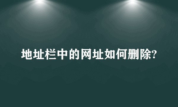 地址栏中的网址如何删除?