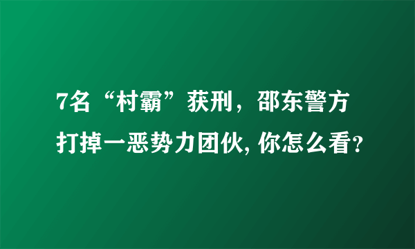 7名“村霸”获刑，邵东警方打掉一恶势力团伙, 你怎么看？