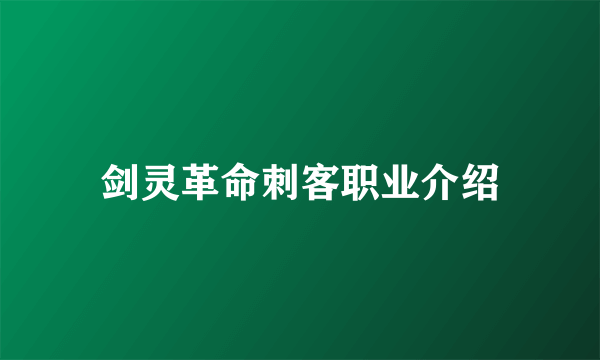 剑灵革命刺客职业介绍