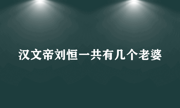 汉文帝刘恒一共有几个老婆