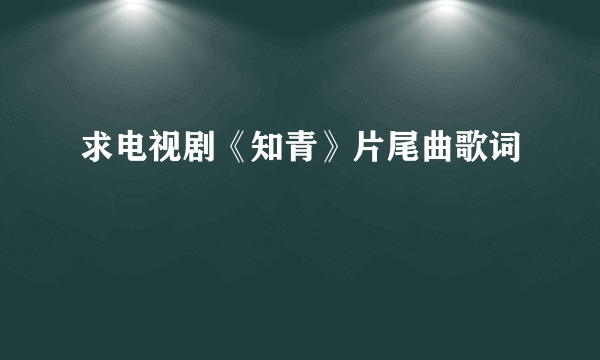 求电视剧《知青》片尾曲歌词