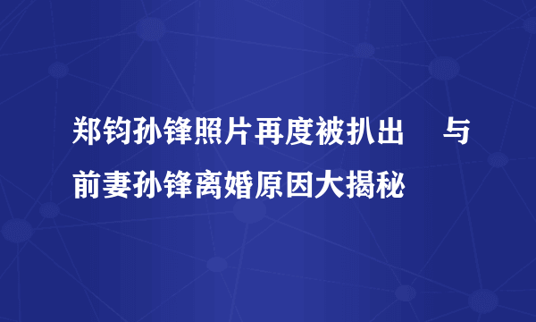 郑钧孙锋照片再度被扒出    与前妻孙锋离婚原因大揭秘