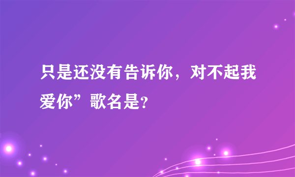 只是还没有告诉你，对不起我爱你”歌名是？