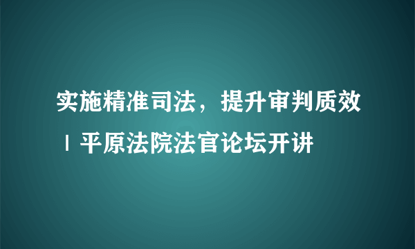 实施精准司法，提升审判质效｜平原法院法官论坛开讲