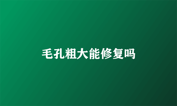 毛孔粗大能修复吗