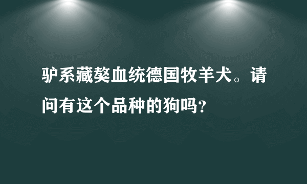 驴系藏獒血统德国牧羊犬。请问有这个品种的狗吗？