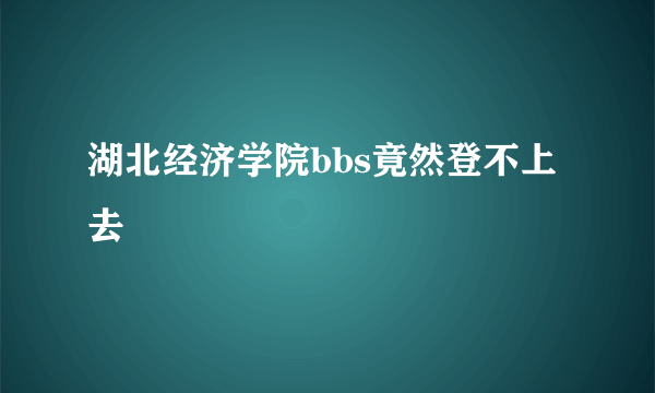 湖北经济学院bbs竟然登不上去