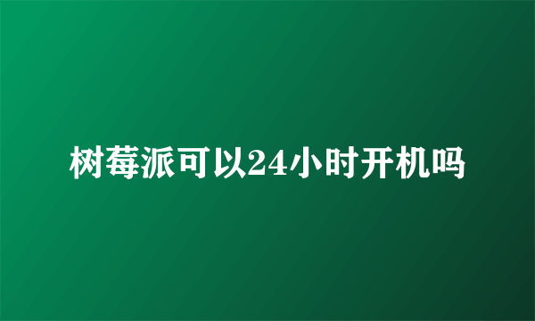 树莓派可以24小时开机吗