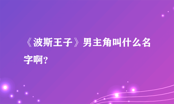 《波斯王子》男主角叫什么名字啊？