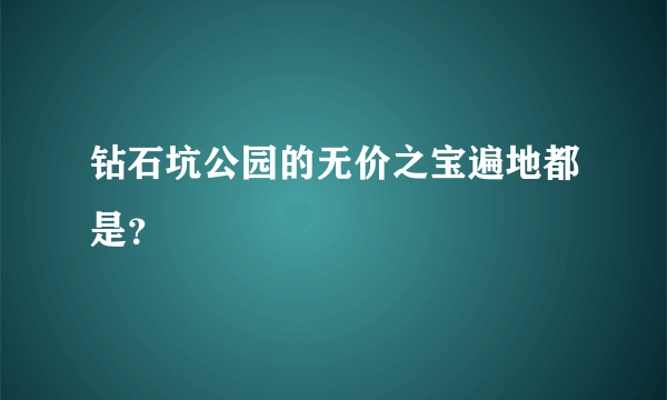 钻石坑公园的无价之宝遍地都是？