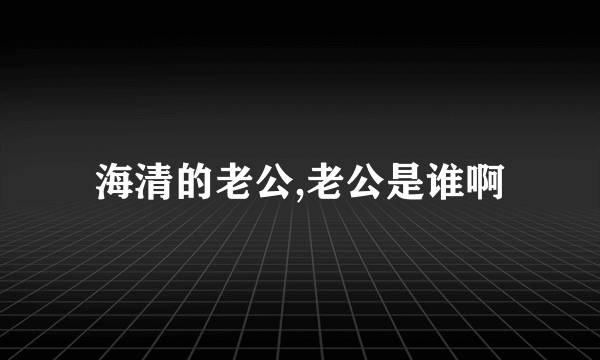 海清的老公,老公是谁啊