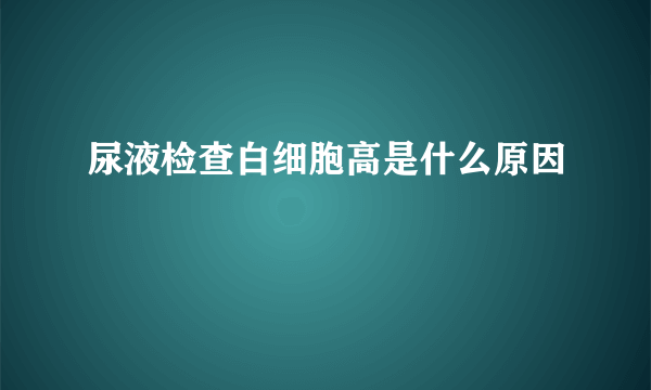 尿液检查白细胞高是什么原因