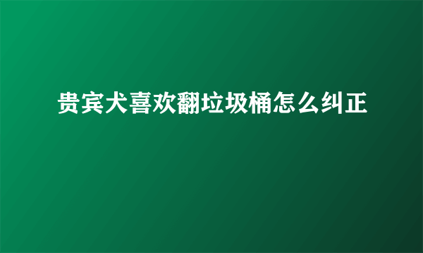 贵宾犬喜欢翻垃圾桶怎么纠正