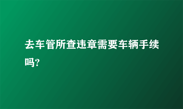 去车管所查违章需要车辆手续吗?