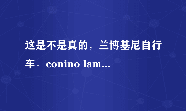 这是不是真的，兰博基尼自行车。conino lamborghini下图是第二十届中国国际自行车展？