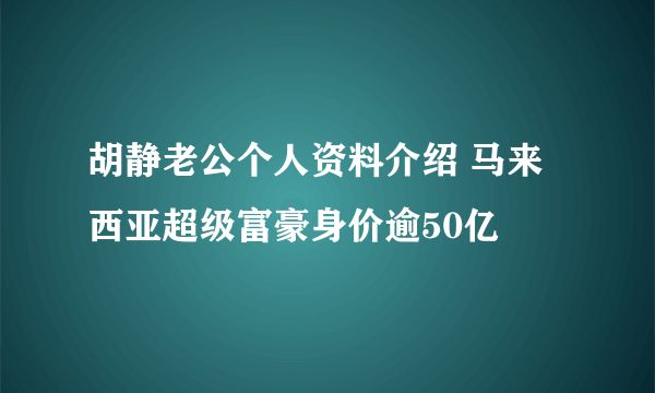 胡静老公个人资料介绍 马来西亚超级富豪身价逾50亿