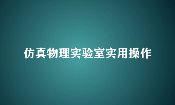 仿真物理实验室实用操作