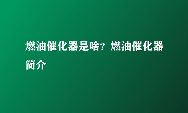 燃油催化器是啥？燃油催化器简介